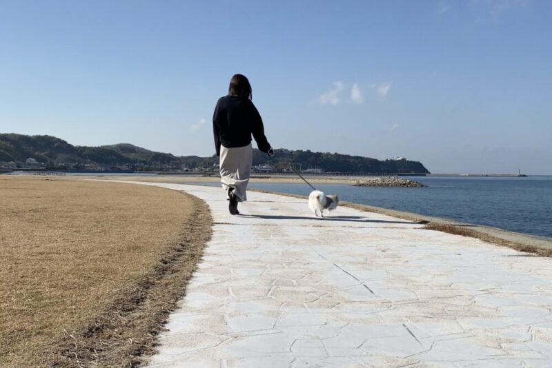 多賀の浜海水浴場で散歩している写真