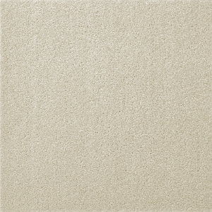 東リウィズペット スノー