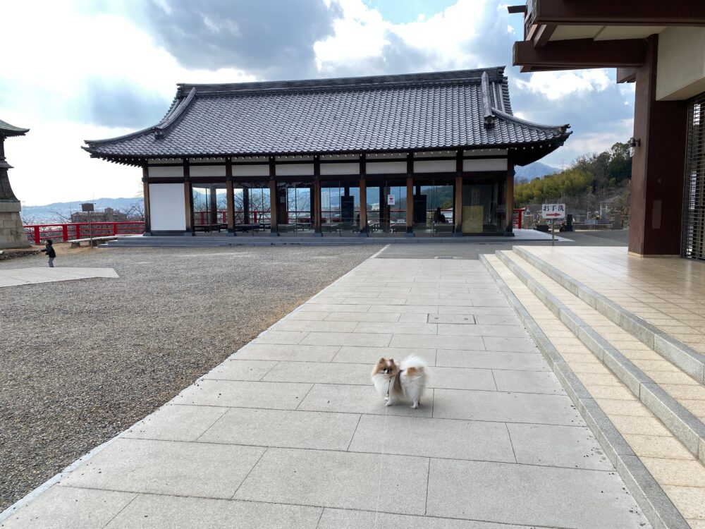 中山寺 境内02