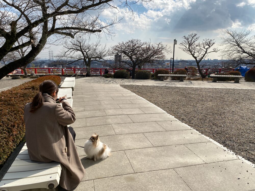中山寺 観音茶屋テラス席
